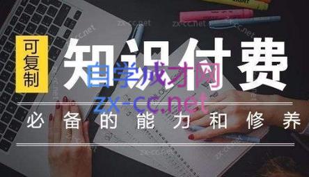 君哥·IP合伙人知识付费虚拟项目(更新24年6月)-康仁安资源