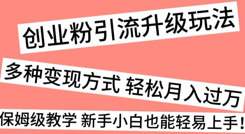 创业粉引流升级玩法，多种变现方式轻松月入过万，保姆级教学新手小白也能轻易上手！-康仁安资源
