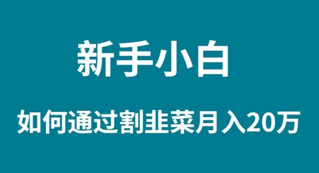 (9308期)新手小白如何通过割韭菜月入 20W-康仁安资源