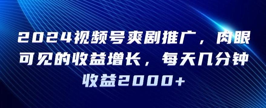 2024视频号爽剧推广，肉眼可见的收益增长，每天几分钟收益2000+【揭秘】-康仁安资源