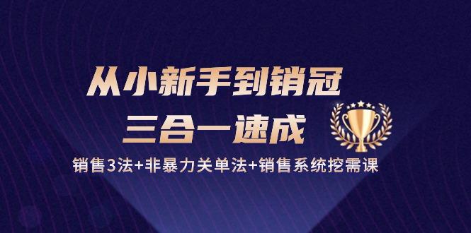 从小新手到销冠 三合一速成：销售3法+非暴力关单法+销售系统挖需课 (27节-康仁安资源