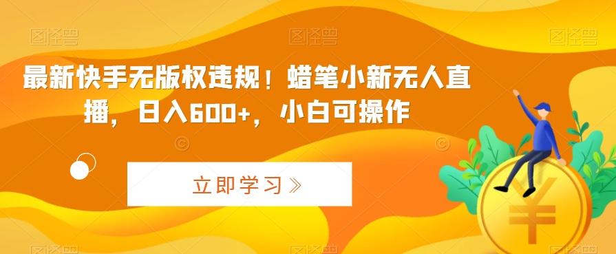最新快手无版权违规！蜡笔小新无人直播，日入600+，小白可操作【揭秘】-康仁安资源