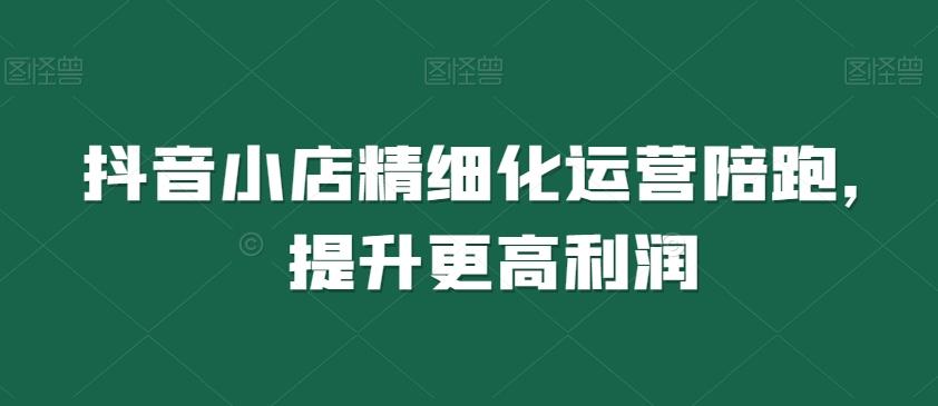 抖音小店精细化运营陪跑，提升更高利润-康仁安资源