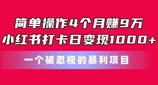 简单操作4个月赚9w，小红书打卡日变现1k，一个被忽视的暴力项目【揭秘】-康仁安资源