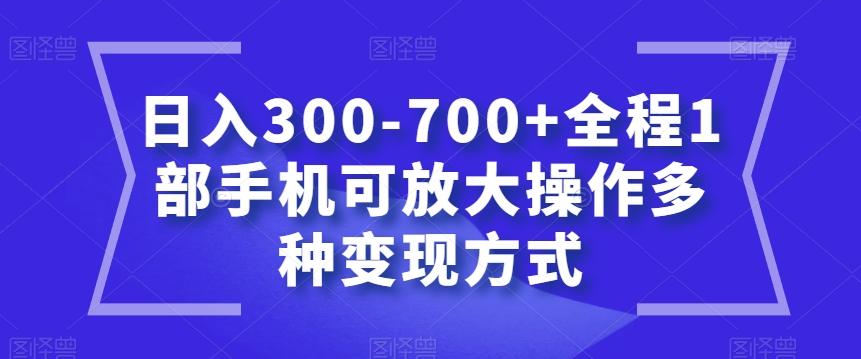 日入300-700+全程1部手机可放大操作多种变现方式【揭秘】-康仁安资源