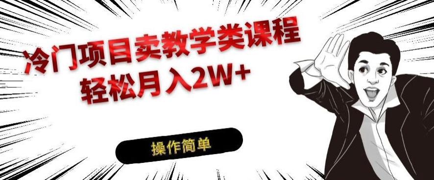 冷门项目卖教学类课程，轻松月入2W+-康仁安资源