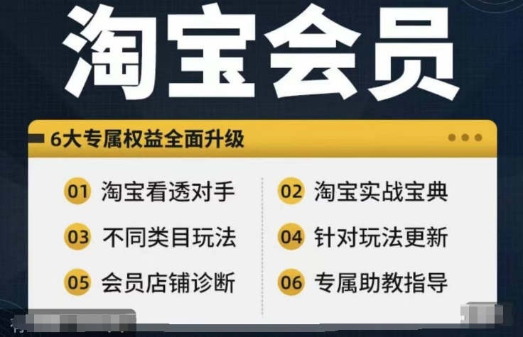 淘宝会员【淘宝所有课程，全面分析对手】，初级到高手全系实战宝典-康仁安资源