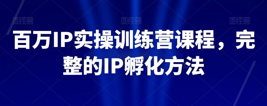 百万IP实操训练营课程，完整的IP孵化方法-康仁安资源