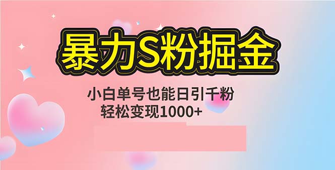 单人单机日引千粉，变现1000+，S粉流量掘金计划攻略-康仁安资源