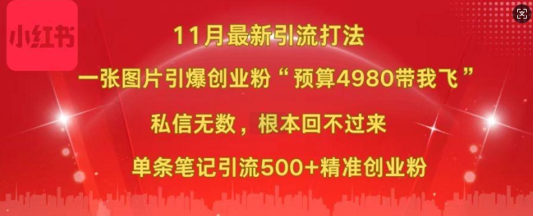 小红书11月最新图片打粉，一张图片引爆创业粉，“预算4980带我飞”，单条引流500+精准创业粉-康仁安资源