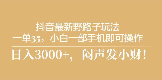 抖音最新野路子玩法，一单35，小白一部手机即可操作，，日入3000+，闷...-康仁安资源
