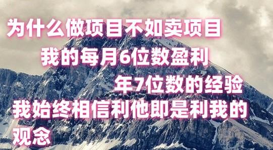 做项目不如卖项目，每月6位数盈利，年7位数经验-康仁安资源