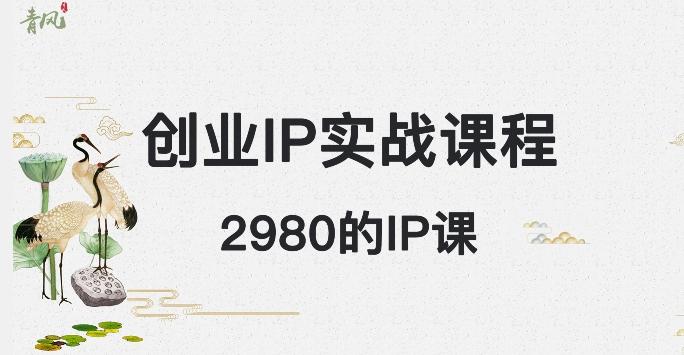 外边卖2980的创业IP课程，做私域月入5w+-康仁安资源