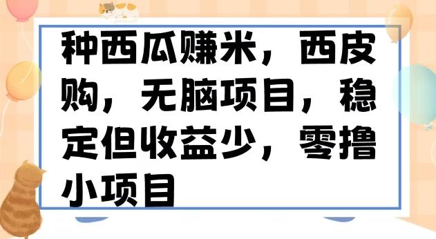 种西瓜赚米，西皮购稳定长久零撸小项目-康仁安资源