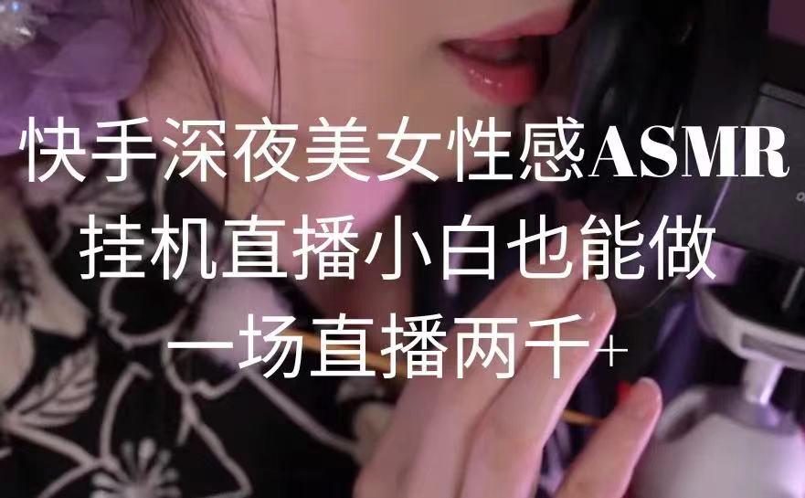 快手深夜美女性感ASMR挂机直播，小白也能做，一场直播两千+-康仁安资源