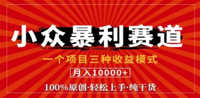视频号最新爆火赛道，三种可收益模式，0粉新号条条原创条条热门 日入1000+-康仁安资源
