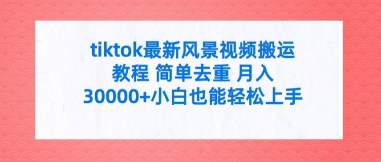 tiktok最新风景视频搬运教程 简单去重 月入3W+小白也能轻松上手【揭秘】-康仁安资源