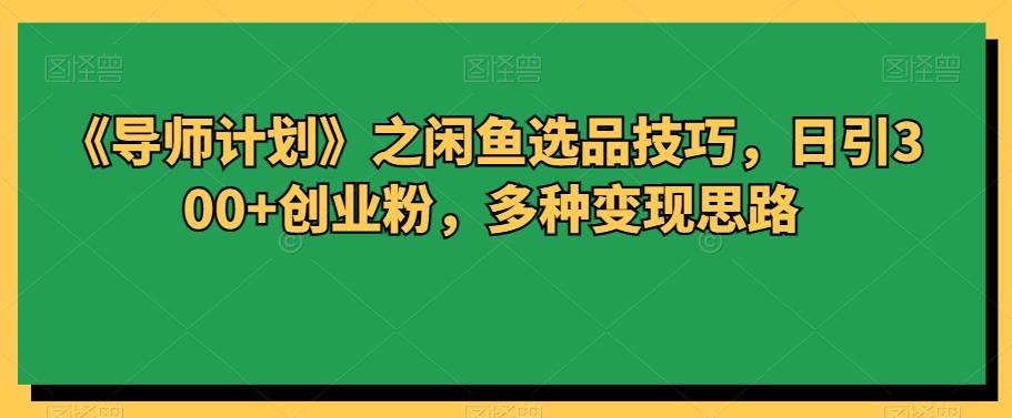 《导师计划》之闲鱼选品技巧，日引300+创业粉，多种变现思路-康仁安资源