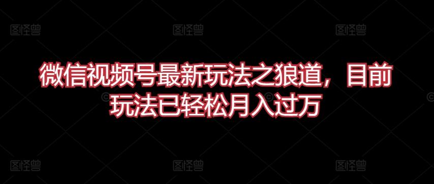 微信视频号最新玩法之狼道，目前玩法已轻松月入过万【揭秘】-康仁安资源