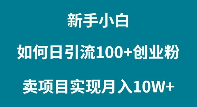 (9556期)新手小白如何通过卖项目实现月入10W+-康仁安资源