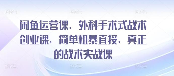 闲鱼运营课，外科手术式战术创业课，简单粗暴直接，真正的战术实战课-康仁安资源