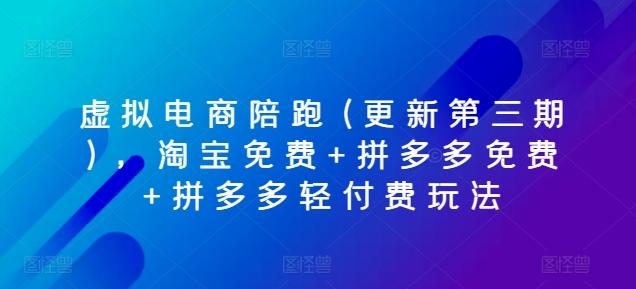 虚拟电商陪跑(更新第三期)，淘宝免费+拼多多免费+拼多多轻付费玩法-康仁安资源