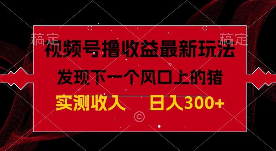 视频号分成计划最新玩法，单条作品几分钟制作完成,日入300+，过年前最后的冲刺-康仁安资源