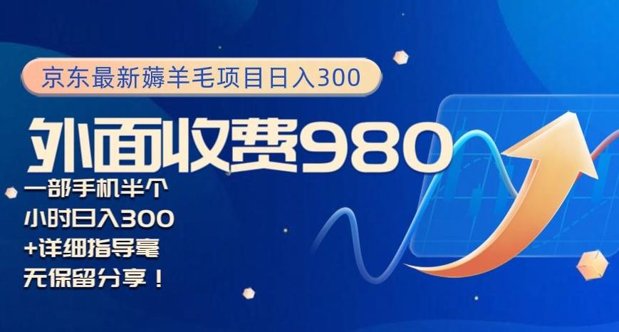 京东最新薅羊毛项目小白怎么做到日入300+一部手机半小时搞定-康仁安资源