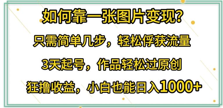如何靠一张图片变现?只需简单几步，轻松俘获流量，3天起号，作品轻松过原创【揭秘】-康仁安资源