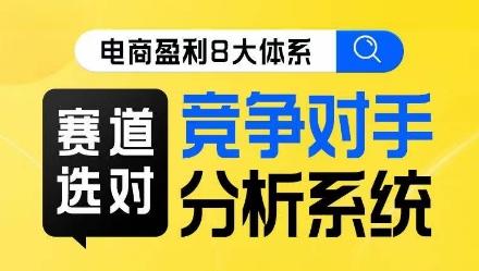 电商盈利8大体系·赛道选对，​竞争对手分析系统线上课-康仁安资源