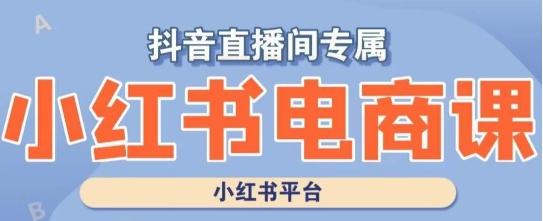 小红书电商高级运营课程，实操教学+案例分析-康仁安资源