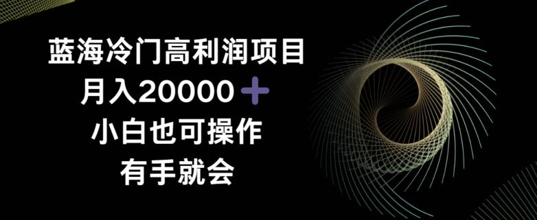 蓝海冷门高利润项目月入2000，小白也可操作有手就会-康仁安资源